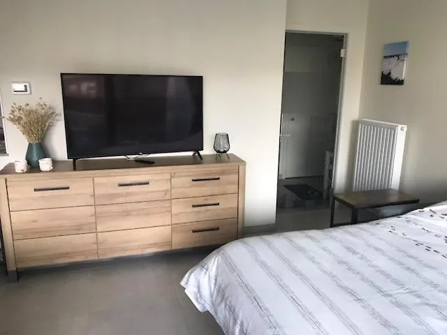 Renovated With Swimming Pool Within Walking Distance Of The T127 Oostende