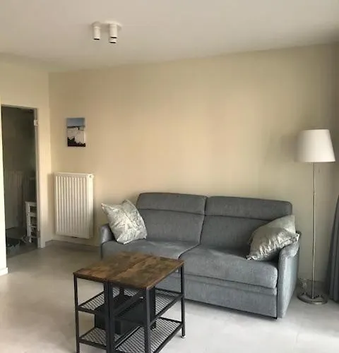 Lejlighed Renovated With Swimming Pool Within Walking Distance Of The T127 Oostende