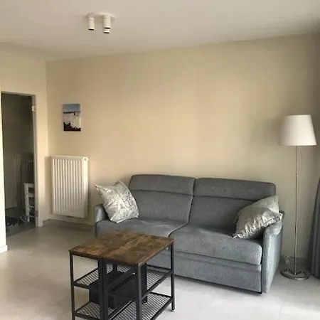 Apartment Renovated With Swimming Pool Within Walking Distance Of The T127 Ostend